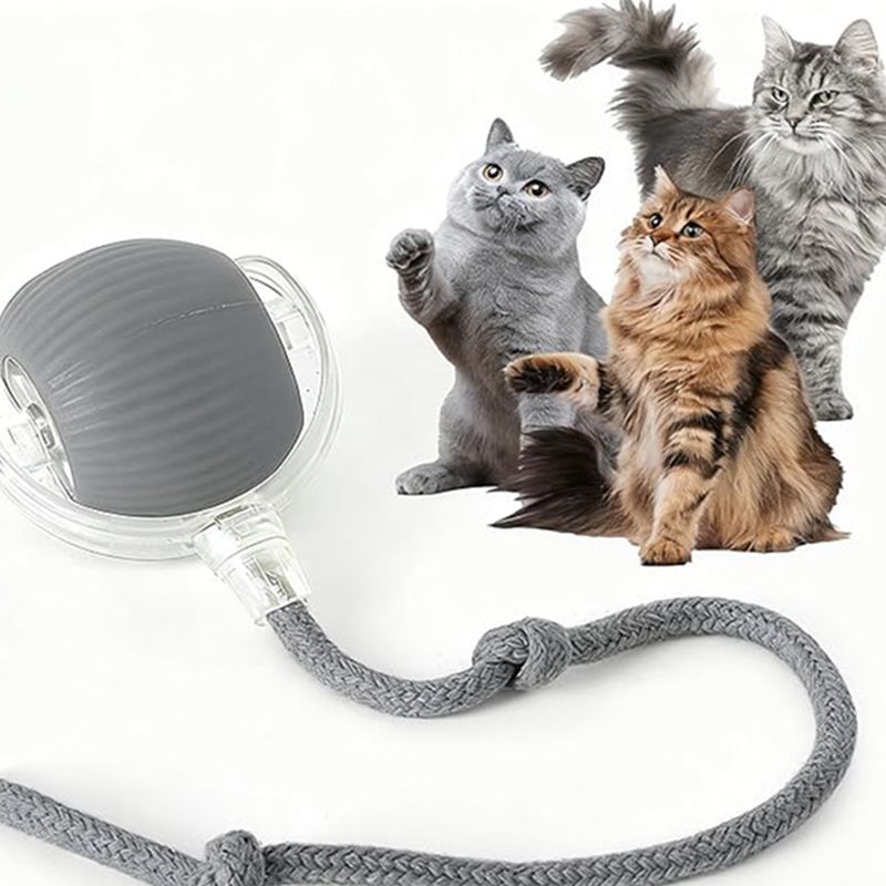 Balle Roulante 360° grise pour chat et petit chien