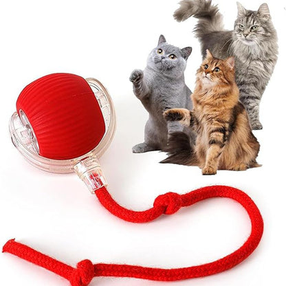 Balle Roulante 360° rouge pour chat et petit chien