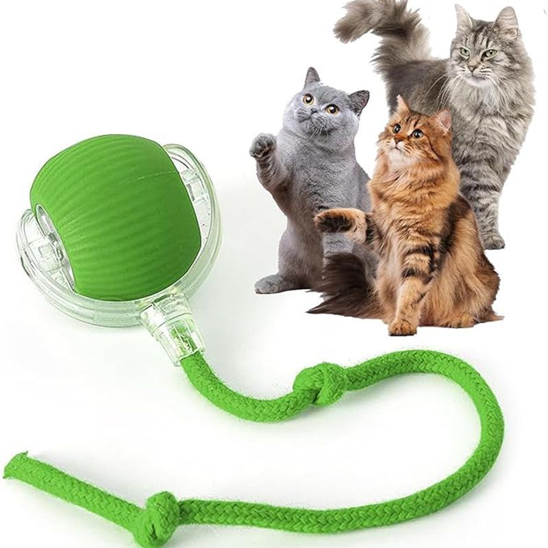 Balle Roulante 360° verte pour chat et petit chien