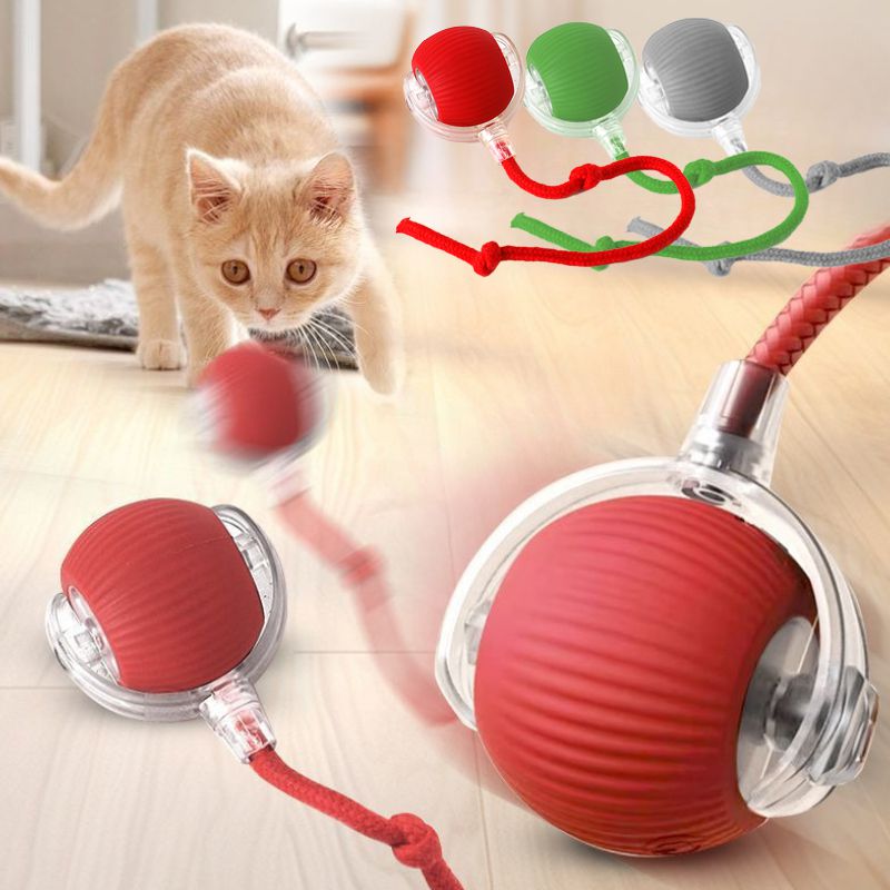 Balle Roulante 360° Nwira — chat chassant la balle, coloris rouge, vert et gris
