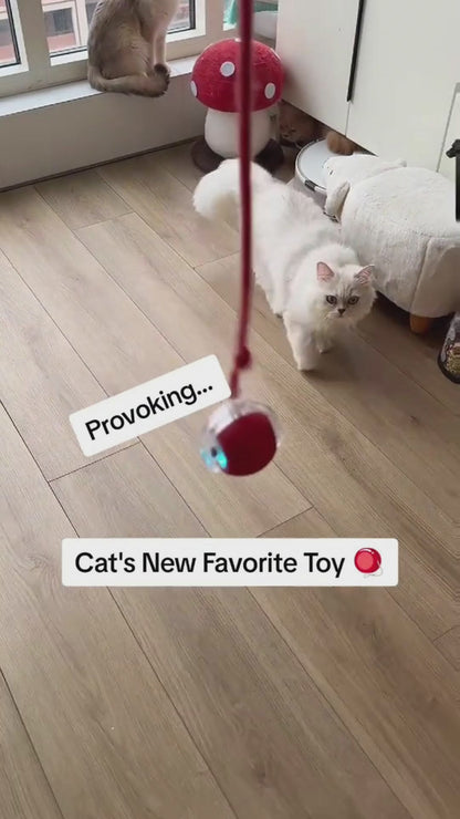 Balle Roulante 360° Nwira — modes LED et réactions du chat